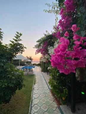 Suna House